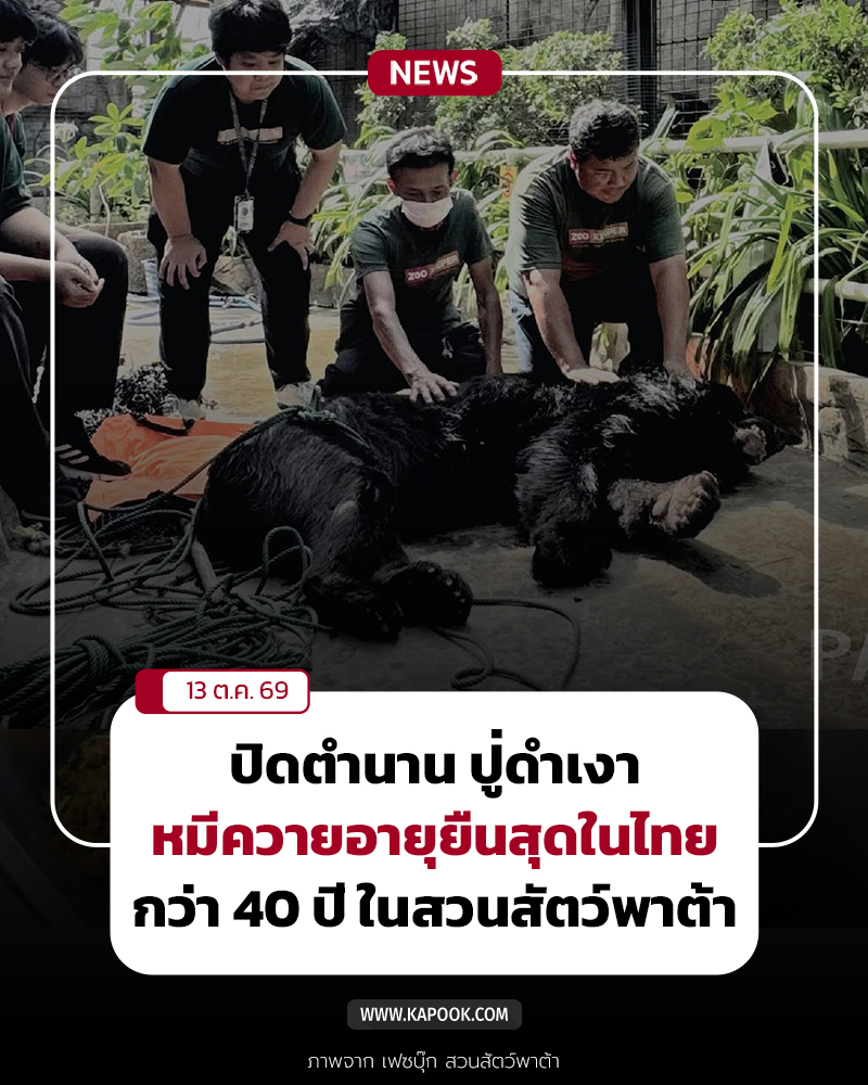 ปู่ดำเงา หมีควาย สวนสัตว์พาต้า ปู่ดำเงา หมีควาย สวนสัตว์พาต้า