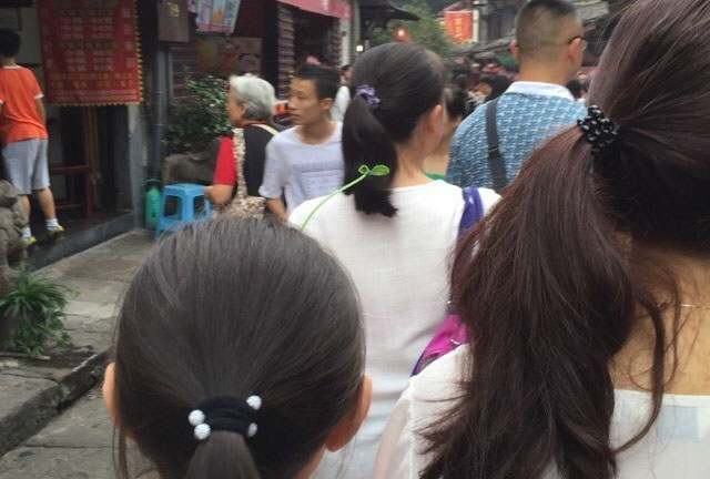 จีนผุดเทรนด์ใหม่ ปลูกต้นไม้บนหัว จีนผุดเทรนด์ใหม่ ปลูกต้นไม้บนหัว