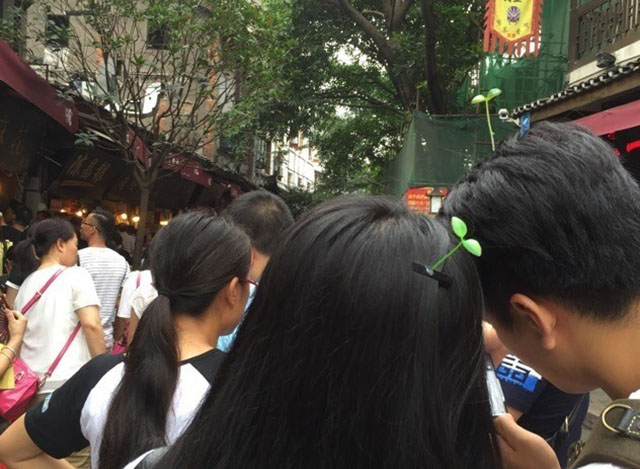 จีนผุดเทรนด์ใหม่ ปลูกต้นไม้บนหัว จีนผุดเทรนด์ใหม่ ปลูกต้นไม้บนหัว