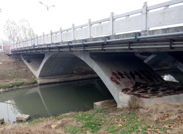 ตากหนังสุนัขใต้สะพาน ตากหนังสุนัขใต้สะพาน