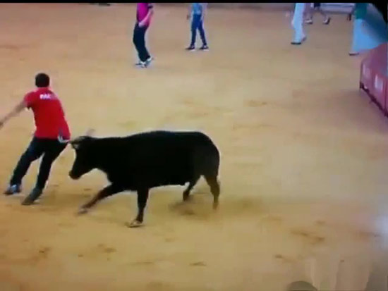 หนุ่มถูกกระทิงไล่ขวิดกางเกง หนุ่มถูกกระทิงไล่ขวิดกางเกง