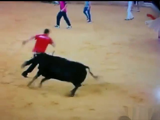 หนุ่มถูกกระทิงไล่ขวิดกางเกง หนุ่มถูกกระทิงไล่ขวิดกางเกง