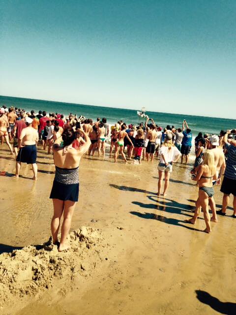 นักท่องเที่ยวช่วยฉลามขาวเกยตื้น นักท่องเที่ยวช่วยฉลามขาวเกยตื้น