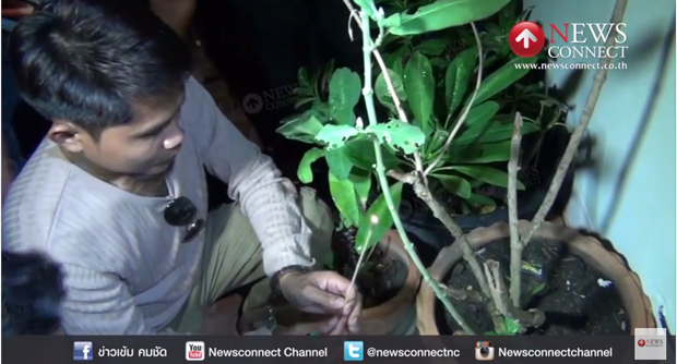 อาจารย์อ๋อง จอมขมังเวทย์ อาจารย์อ๋อง จอมขมังเวทย์