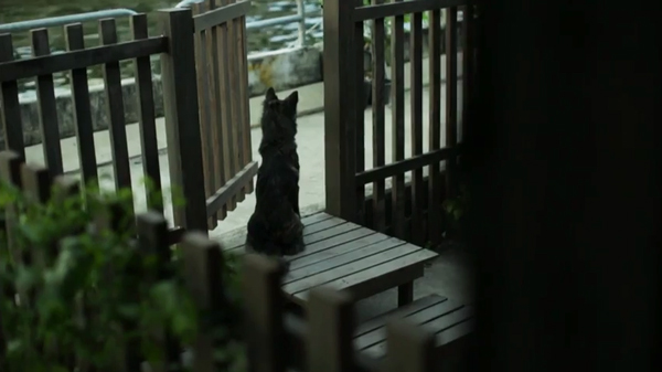 โอเลี้ยง เพื่อนที่จะอยู่กับคุณตลอดไป โอเลี้ยง เพื่อนที่จะอยู่กับคุณตลอดไป