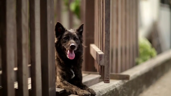 โอเลี้ยง เพื่อนที่จะอยู่กับคุณตลอดไป โอเลี้ยง เพื่อนที่จะอยู่กับคุณตลอดไป