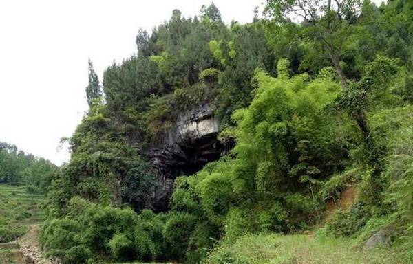 ลุงวัย 46 เด็กสาว 15 หนีตามกันไปใช้ชีวิตคู่อยู่ในถ้ำ ลุงวัย 46 เด็กสาว 15 หนีตามกันไปใช้ชีวิตคู่อยู่ในถ้ำ