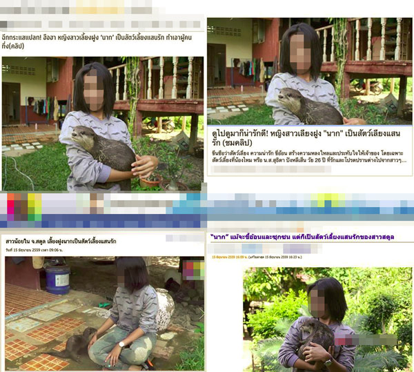 สาวเมืองสตูลเลี้ยงฝูงนาก สาวเมืองสตูลเลี้ยงฝูงนาก