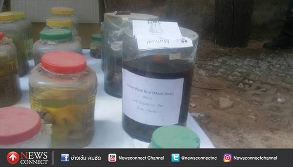 พบหนังเสือ ตะกรุดเขี้ยวเสือ ในวัดป่าหลวงตาบัวอีกเพียบ พบหนังเสือ ตะกรุดเขี้ยวเสือ ในวัดป่าหลวงตาบัวอีกเพียบ