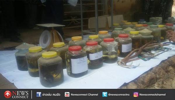 พบหนังเสือ ตะกรุดเขี้ยวเสือ ในวัดป่าหลวงตาบัวอีกเพียบ พบหนังเสือ ตะกรุดเขี้ยวเสือ ในวัดป่าหลวงตาบัวอีกเพียบ