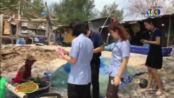 ยันคุณภาพน้ำทะเลเมืองระยองปกติ หลังพบปลาสลิดหินลอยตายเต็มหาด ยันคุณภาพน้ำทะเลเมืองระยองปกติ หลังพบปลาสลิดหินลอยตายเต็มหาด