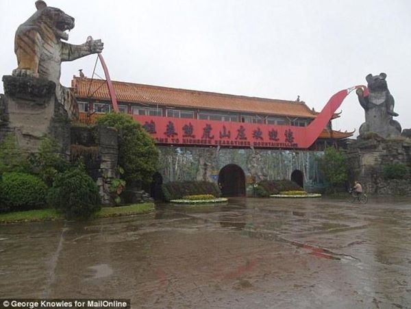 สวนสัตว์จีนปล่อยเสืออดอยากตาย เอากระดูกดองเหล้าขาย ได้เงินดีกว่า สวนสัตว์จีนปล่อยเสืออดอยากตาย เอากระดูกดองเหล้าขาย ได้เงินดีกว่า