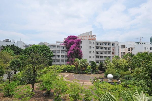 เฟื่องฟ้ากอยักษ์เลื้อยพันตึก เฟื่องฟ้ากอยักษ์เลื้อยพันตึก