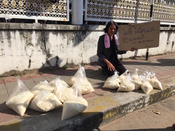 ชาวนาขายข้าวหอมมะลิริมทาง ชาวนาขายข้าวหอมมะลิริมทาง