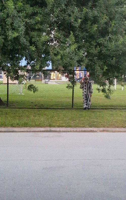 ตัวตลกหลอกคน ตัวตลกหลอกคน