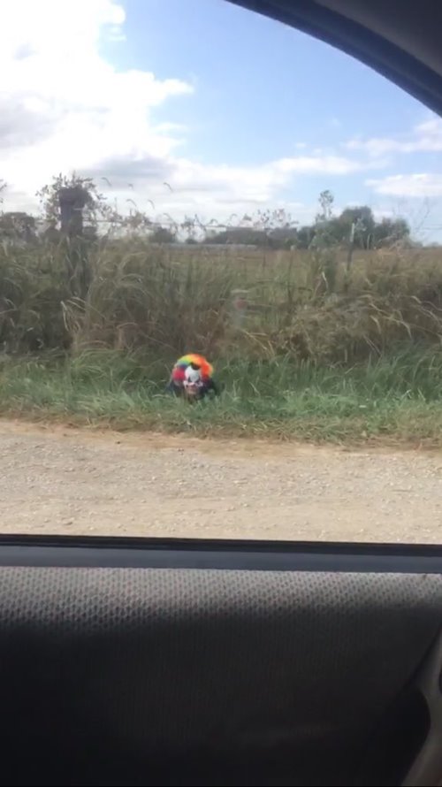 ตัวตลกหลอกคน ตัวตลกหลอกคน