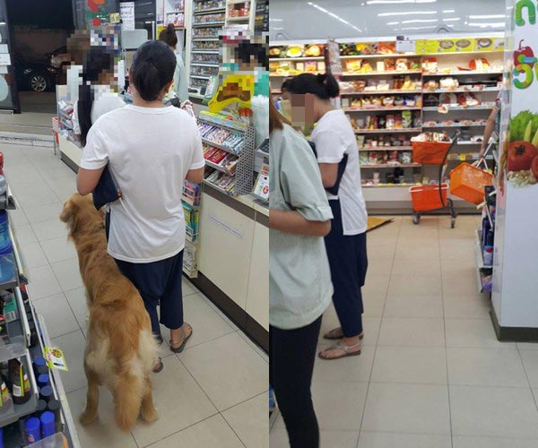 มนุษย์ป้าพาสุนัขเข้า 7-11 มนุษย์ป้าพาสุนัขเข้า 7-11