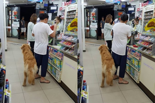 มนุษย์ป้าพาสุนัขเข้า 7-11 มนุษย์ป้าพาสุนัขเข้า 7-11