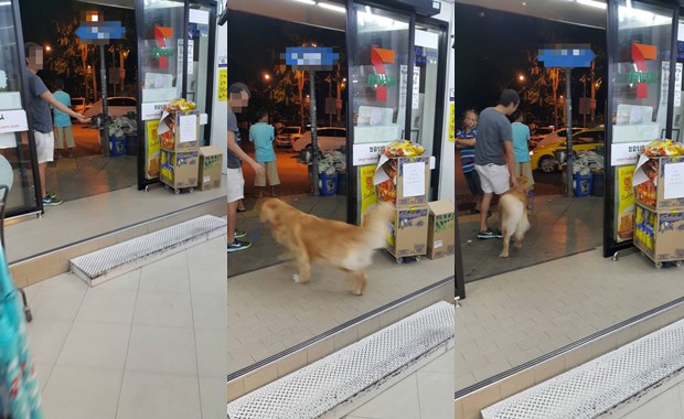 มนุษย์ป้าพาสุนัขเข้า 7-11 มนุษย์ป้าพาสุนัขเข้า 7-11