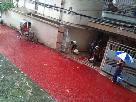 เทศกาล Eid ul Adha เชือดสัตว์ใหญ่บูชายัญ เทศกาล Eid ul Adha เชือดสัตว์ใหญ่บูชายัญ