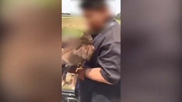 1 ในแก๊งเลี้ยงเหยี่ยวเข้าพบตำรวจ 1 ในแก๊งเลี้ยงเหยี่ยวเข้าพบตำรวจ