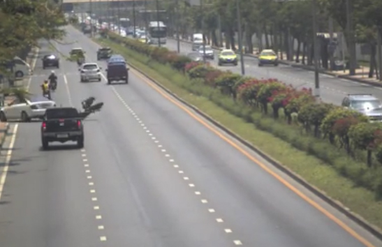 นักเทควันโดจอมปาด นักเทควันโดจอมปาด