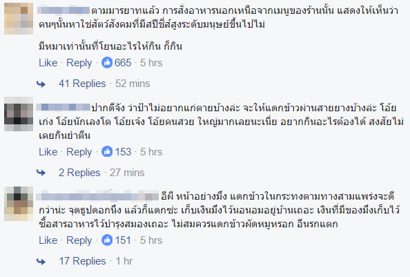 สาวโวยร้านสเต็กไม่ทำข้าวผัดหมูให้ ลั่นอยากกินเชิญร้านตามสั่ง สาวโวยร้านสเต็กไม่ทำข้าวผัดหมูให้ ลั่นอยากกินเชิญร้านตามสั่ง