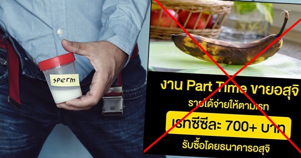 ขายอสุจิ ขายอสุจิ