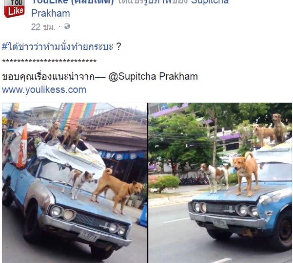 ชาวเน็ตแห่โพสต์ภาพล้อเลียนคำสั่งห้ามนั่งท้ายกระบะ ชาวเน็ตแห่โพสต์ภาพล้อเลียนคำสั่งห้ามนั่งท้ายกระบะ