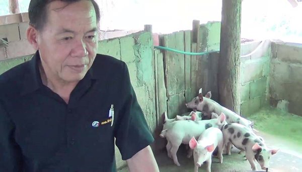 ลูกหมูลายจุด ลูกหมูลายจุด