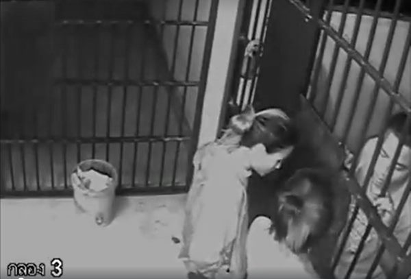 นักโทษหนีระหว่างญาติเยี่ยม นักโทษหนีระหว่างญาติเยี่ยม