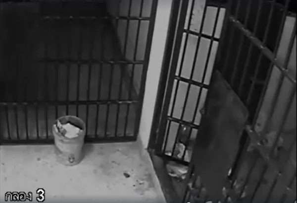 นักโทษหนีระหว่างญาติเยี่ยม นักโทษหนีระหว่างญาติเยี่ยม