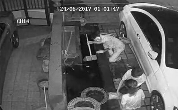 โจรขโมยปลาคาร์พ โจรขโมยปลาคาร์พ