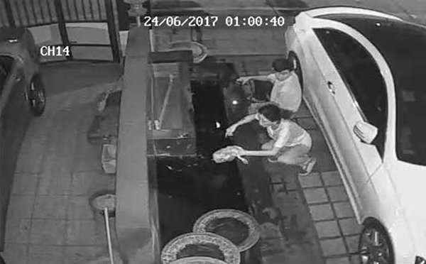 โจรขโมยปลาคาร์พ โจรขโมยปลาคาร์พ