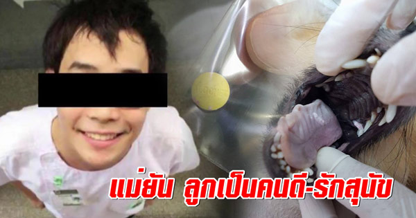 นักศึกษาแพทย์ฆ่าหมาเอาเงินประกัน นักศึกษาแพทย์ฆ่าหมาเอาเงินประกัน