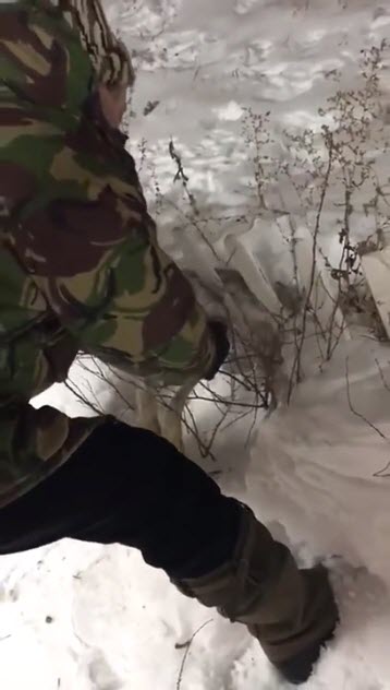 สัตว์แข็งตาย สัตว์แข็งตาย