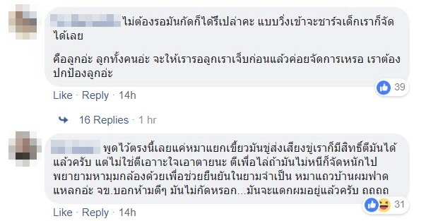 หมากัดเด็ก หมากัดเด็ก