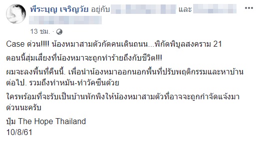 หมาจรจัดไล่กัดคน หมาจรจัดไล่กัดคน
