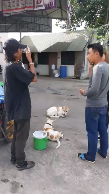 หนุ่มเดินเท้าจากใต้ไปดอยอินทนนท์ หนุ่มเดินเท้าจากใต้ไปดอยอินทนนท์