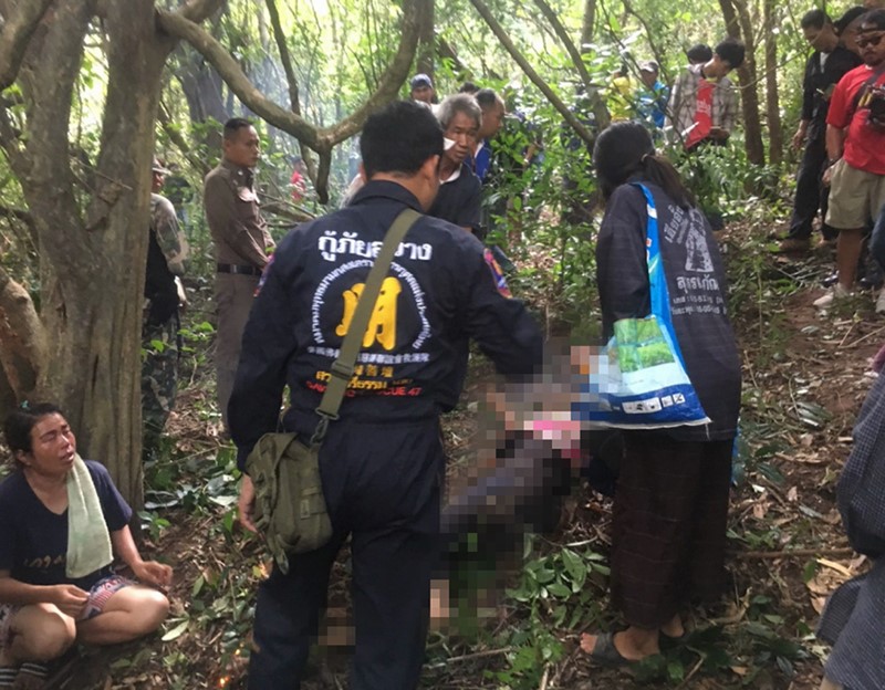 ช้างป่าเหยียบคนตาย ช้างป่าเหยียบคนตาย