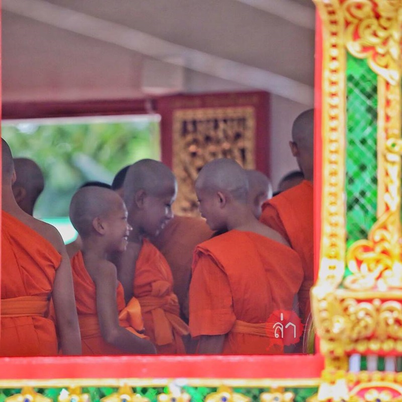 โค้ชเอกและทีมหมูป่า บวช โค้ชเอกและทีมหมูป่า บวช