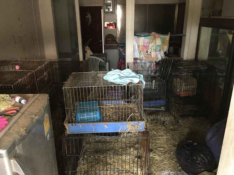 ผู้เช่ามหาภัย ผู้เช่ามหาภัย