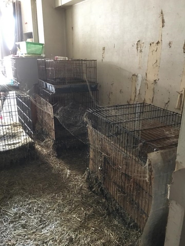 ผู้เช่ามหาภัย ผู้เช่ามหาภัย