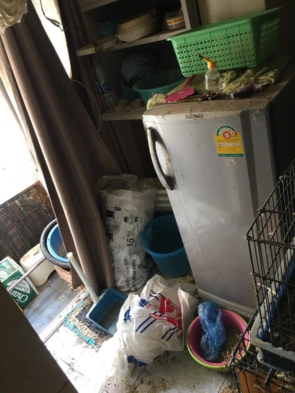 ผู้เช่ามหาภัย ผู้เช่ามหาภัย