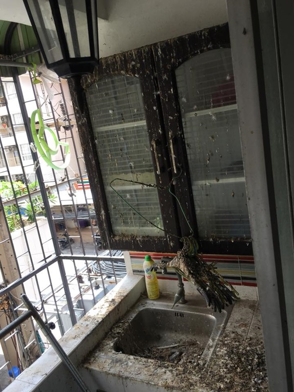 ผู้เช่ามหาภัย ผู้เช่ามหาภัย