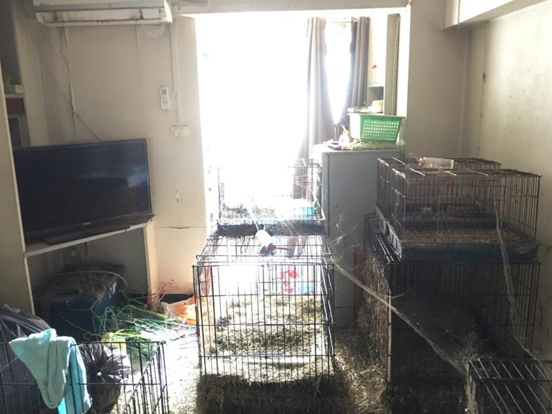 ผู้เช่ามหาภัย ผู้เช่ามหาภัย