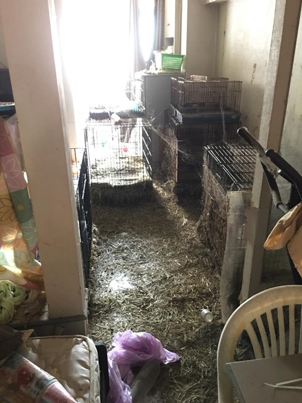 ผู้เช่ามหาภัย ผู้เช่ามหาภัย