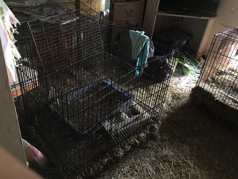 ผู้เช่ามหาภัย ผู้เช่ามหาภัย