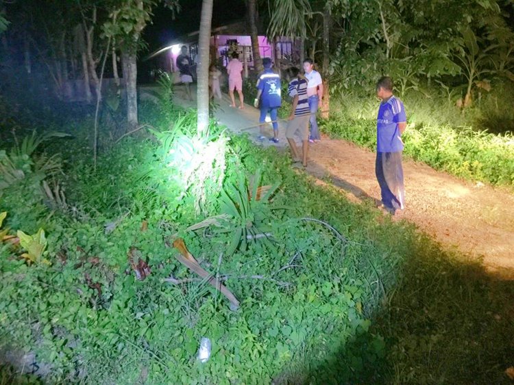 งูเหลือมยักษ์ งูเหลือมยักษ์