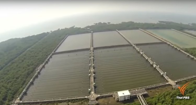 วัฒนา อัศวเหม วัฒนา อัศวเหม